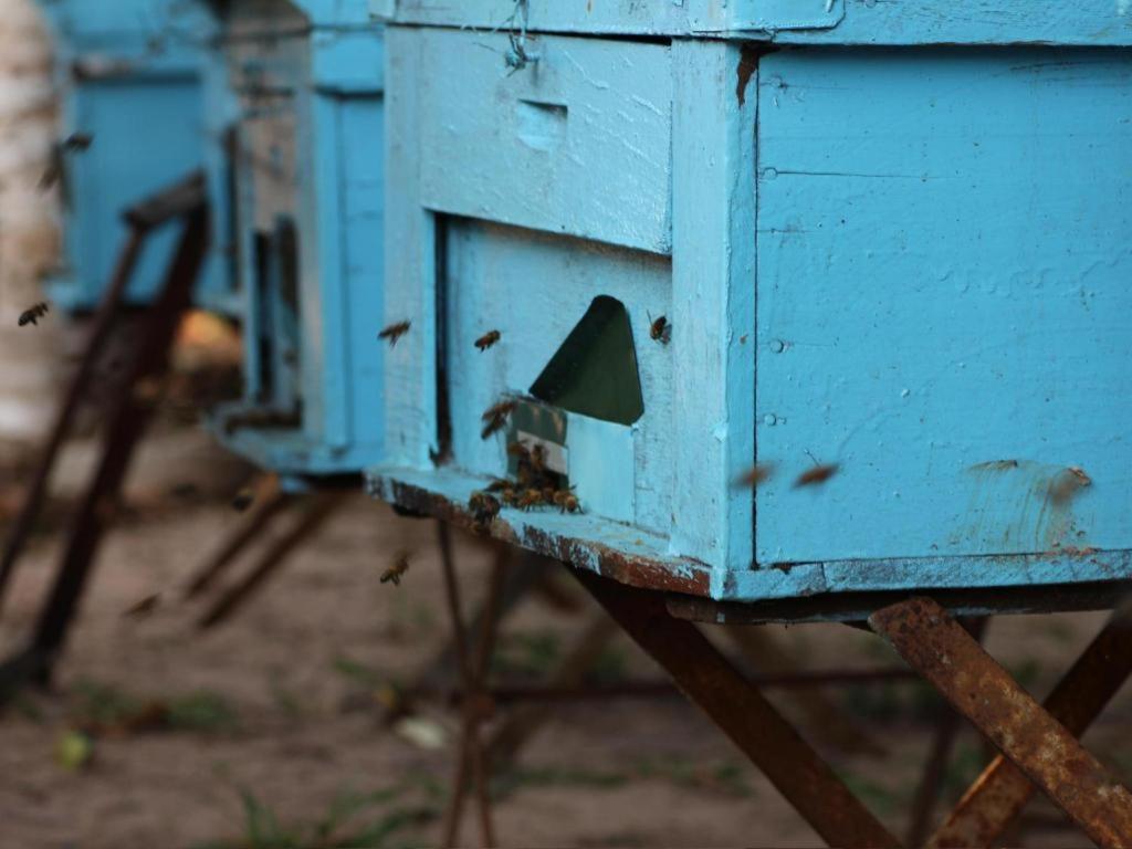 Pepper Farm Phu Quoc Bungalow Exterior foto